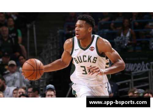 NBA赛场风采：全方位揭秘球迷独家视角