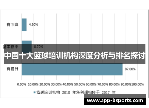 中国十大篮球培训机构深度分析与排名探讨