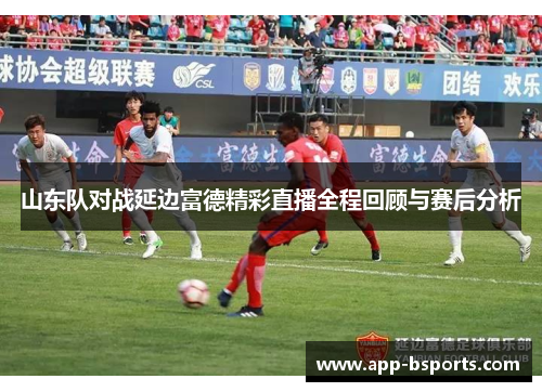 山东队对战延边富德精彩直播全程回顾与赛后分析